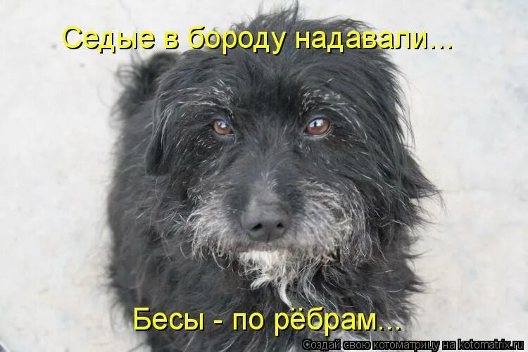 Взято из открытых источников.