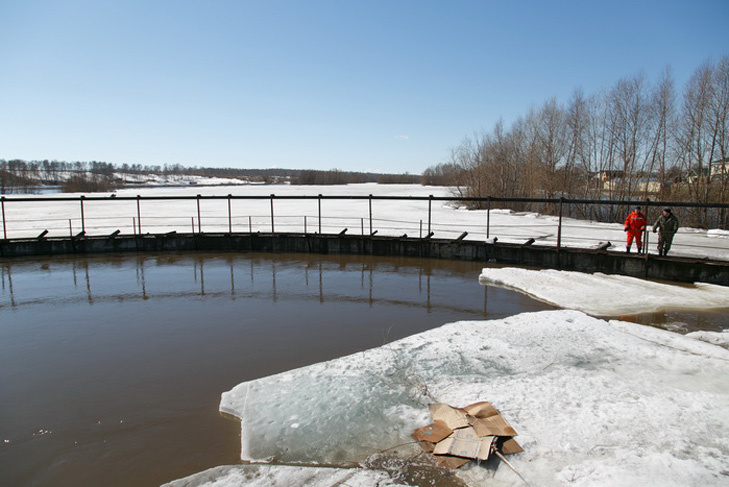    Фото Аркадия Уварова из архива VN.ru