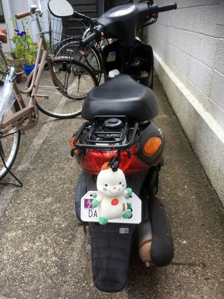 Хранитель мопеда