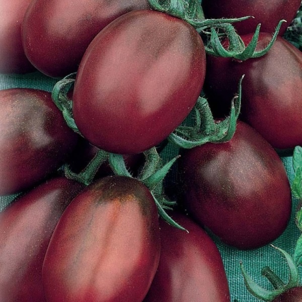 16 лучших сортов помидоров для посева в апреле - Сорт помидоров Де Барао черный