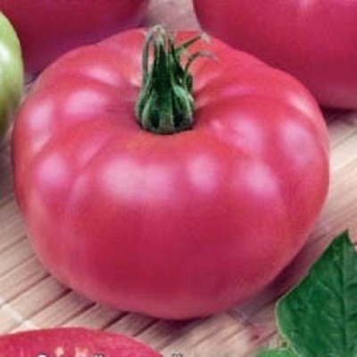 16 лучших сортов помидоров для посева в апреле - Сорт помидоров Малиновый гигант