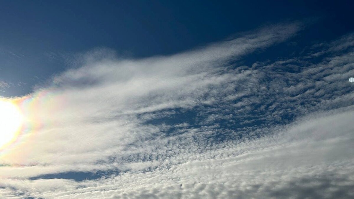    Фото: телеканал «Краснодар»