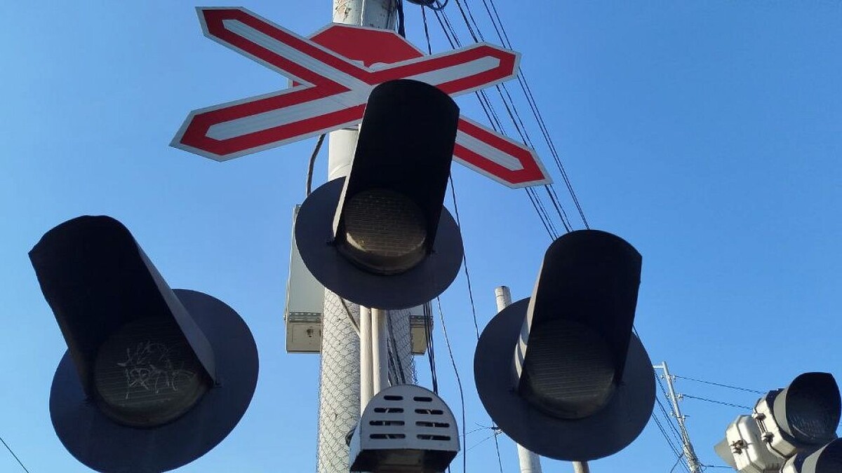    Фото: телеканал «Краснодар»