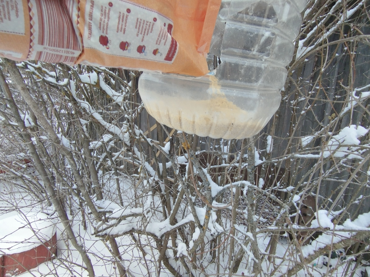 Пшено всегда пригодится на случай непредвиденного ненастья.