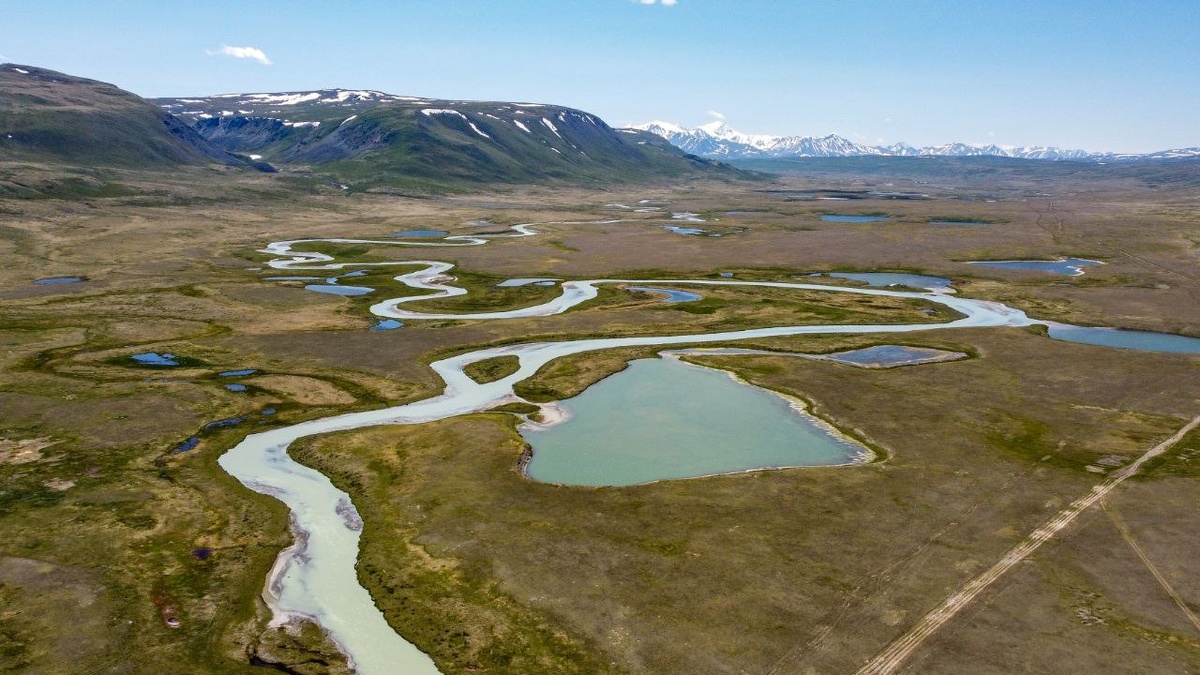 Автор фото: Наталья Отрещенко (телеграм-канал "Алтай моими глазами")