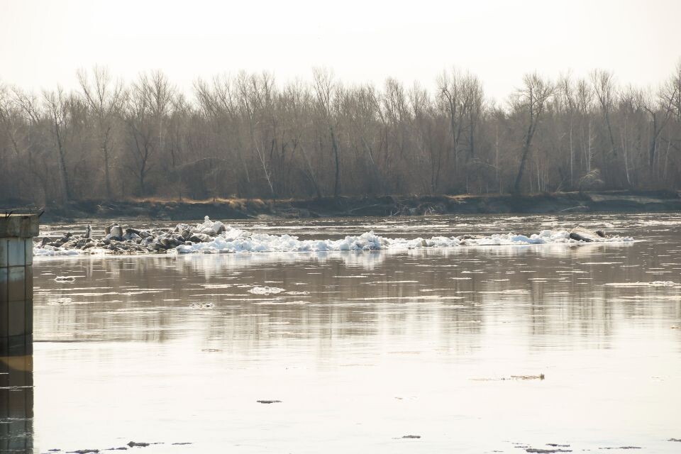    Ледоход на Оби. Барнаул. Источник: Виталий Барабаш/"Толк"