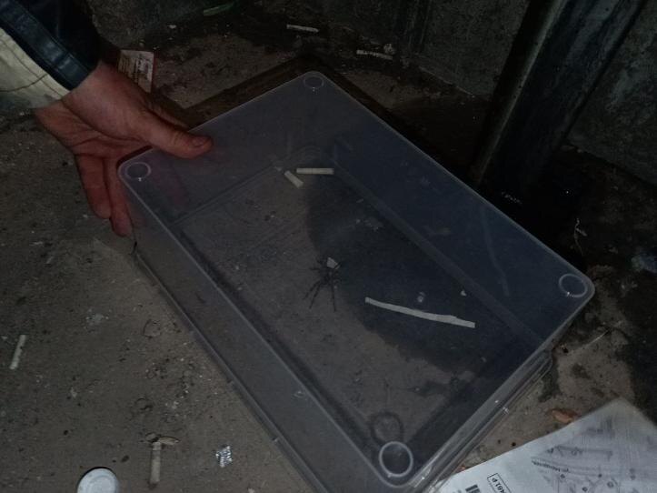    Фото: t.me/pinipuff