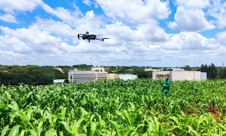    Агродроны продолжают утверждаться в селекции важных сельхозкультур