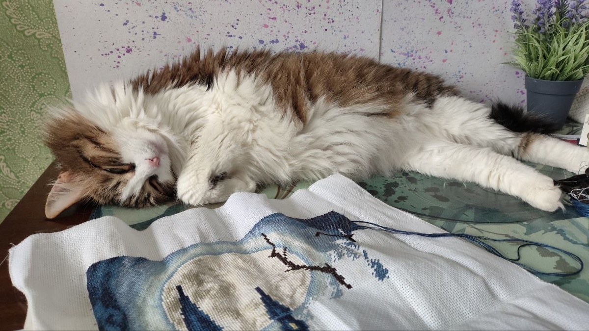 Фото автора