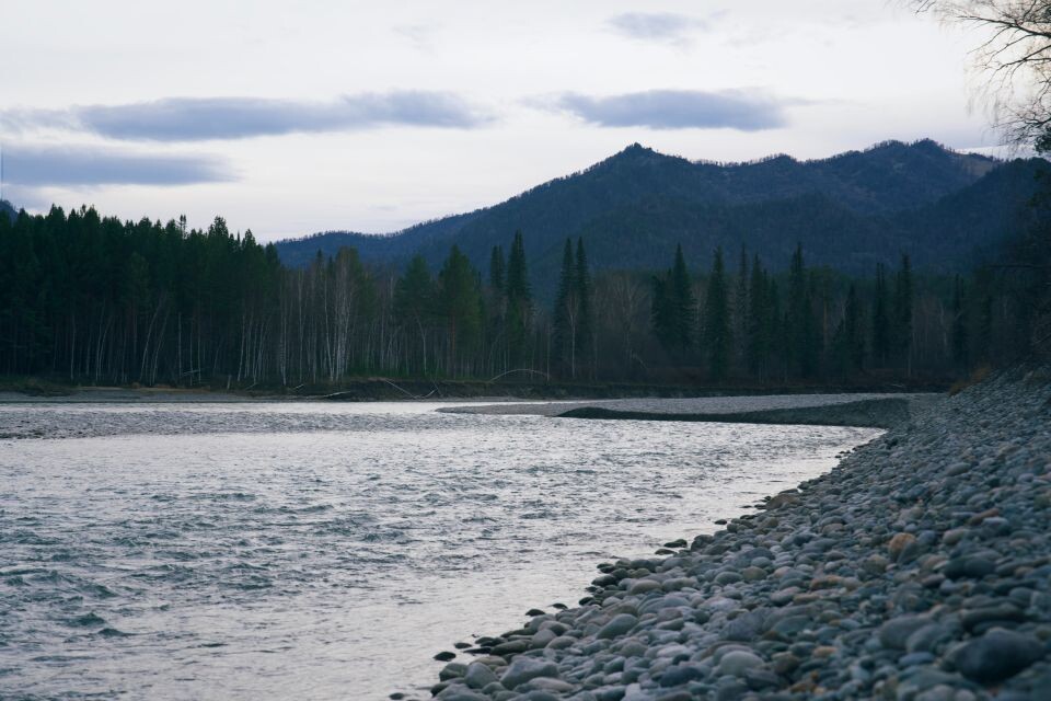    Река Катунь. Источник: Андрей Сороко / "Толк"