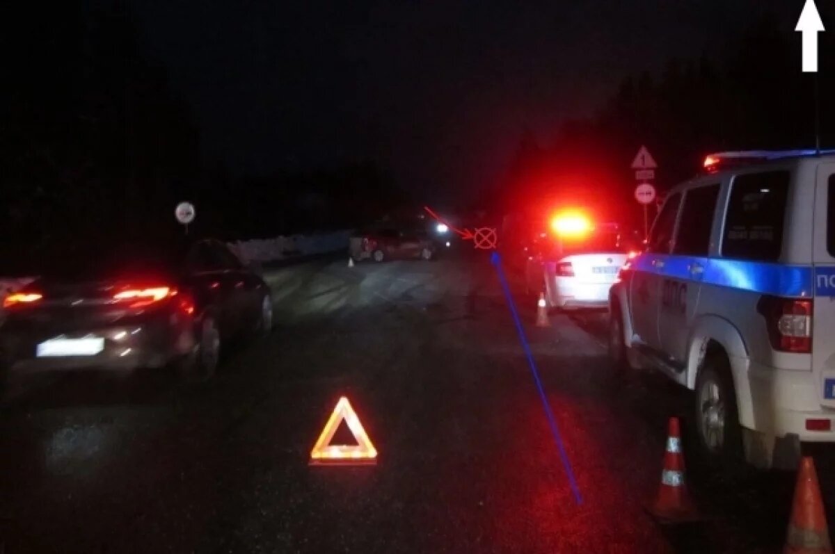    Из-за вылетевшей на встречку иномарки в Коми пострадали два человека