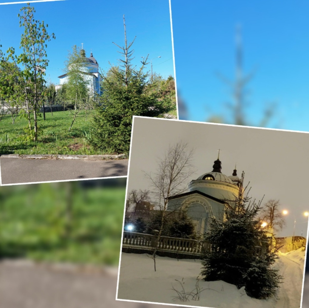 Фото автора.