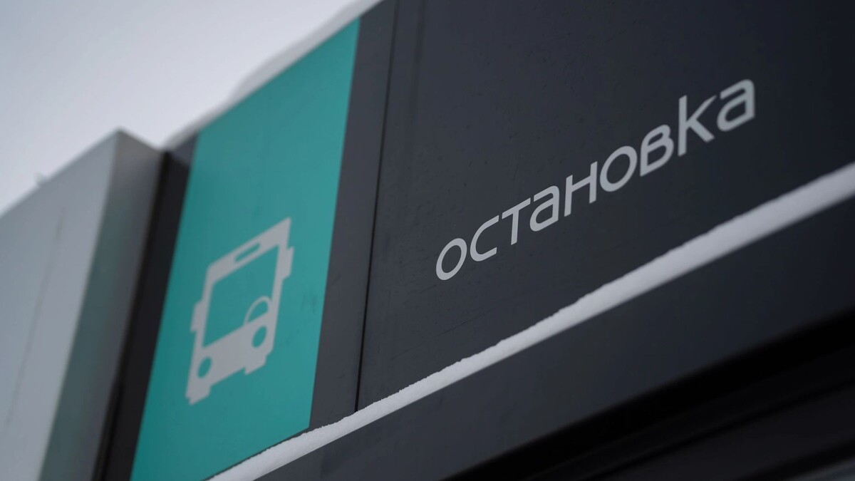    Фото: Сергей Зубков/«Ямал-Медиа»