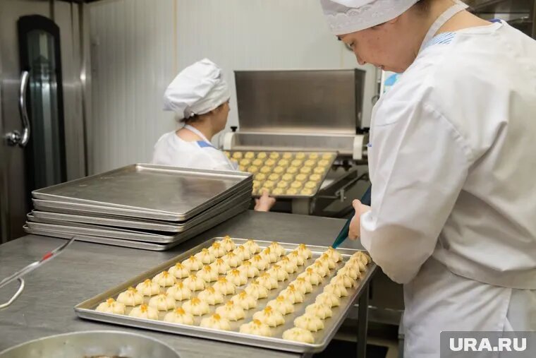 Выручка за 2024 год составила два миллиарда рублей. Фото: Александр Кулаковский © URA.RU