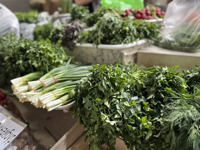 Лук, укроп или сельдерей: какая зелень самая полезная для здоровья