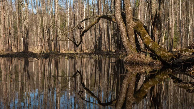 Фото: Александр Дрозденко/telegram