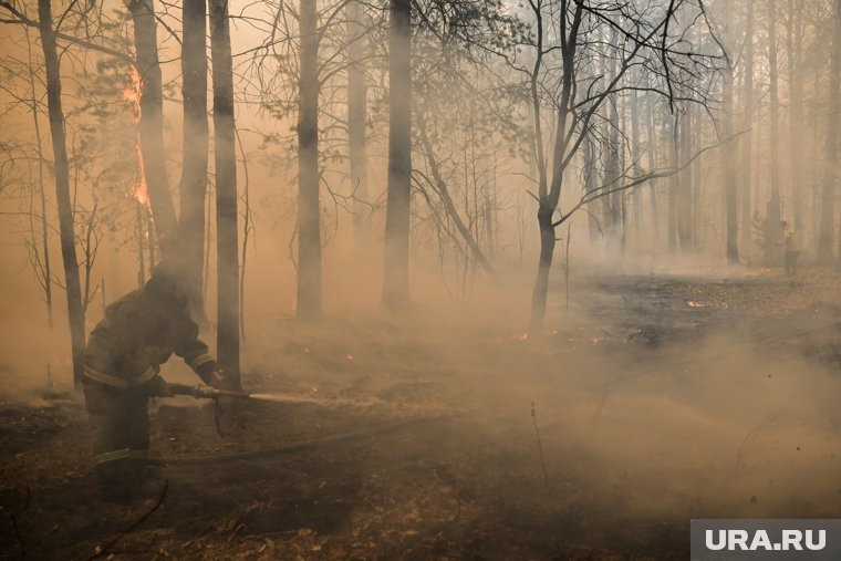 В Бурятии лесной пожар охватил почти 370 гектаров леса (архивное фото). Фото: Владимир Жабриков © URA.RU