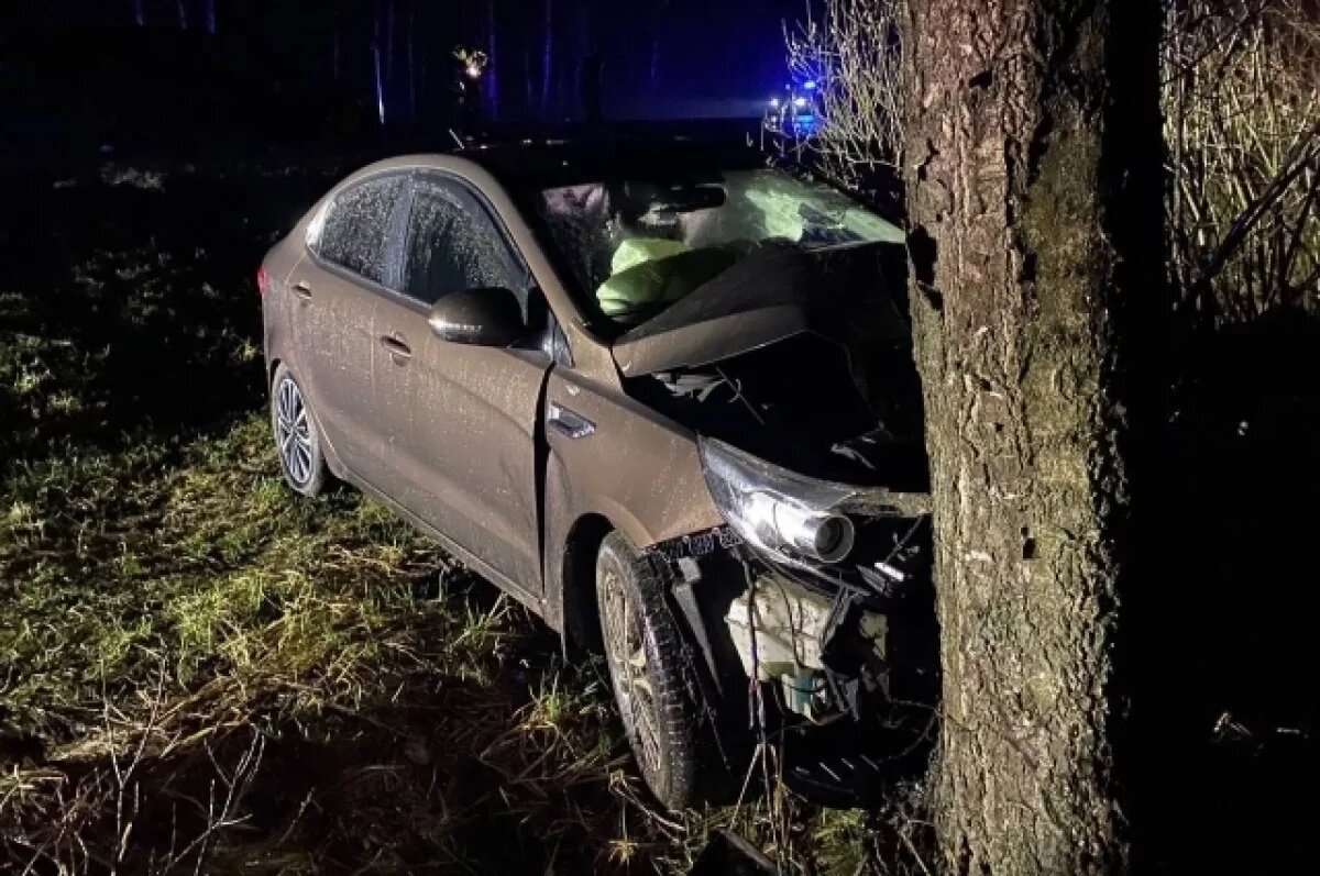    Шесть автомобилей получили повреждения в ДТП на брянском участке А-240