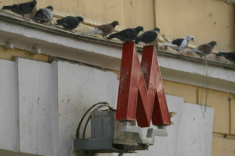   Тимур Ханов/ПГ