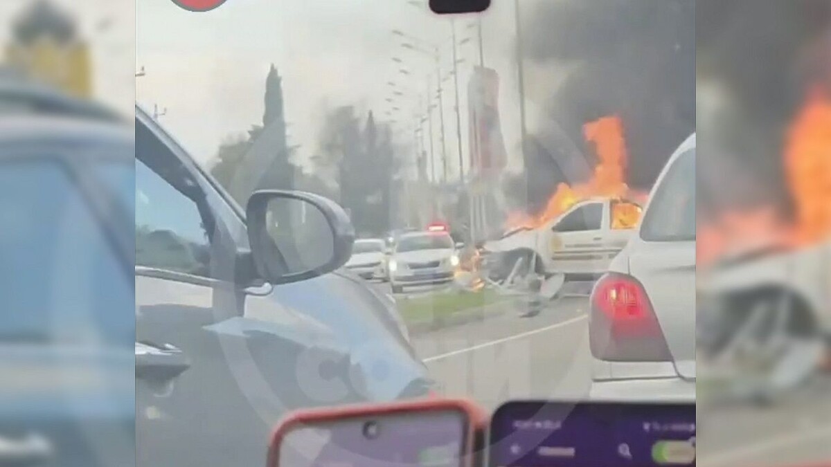    Фото: t.me/chp_sochi