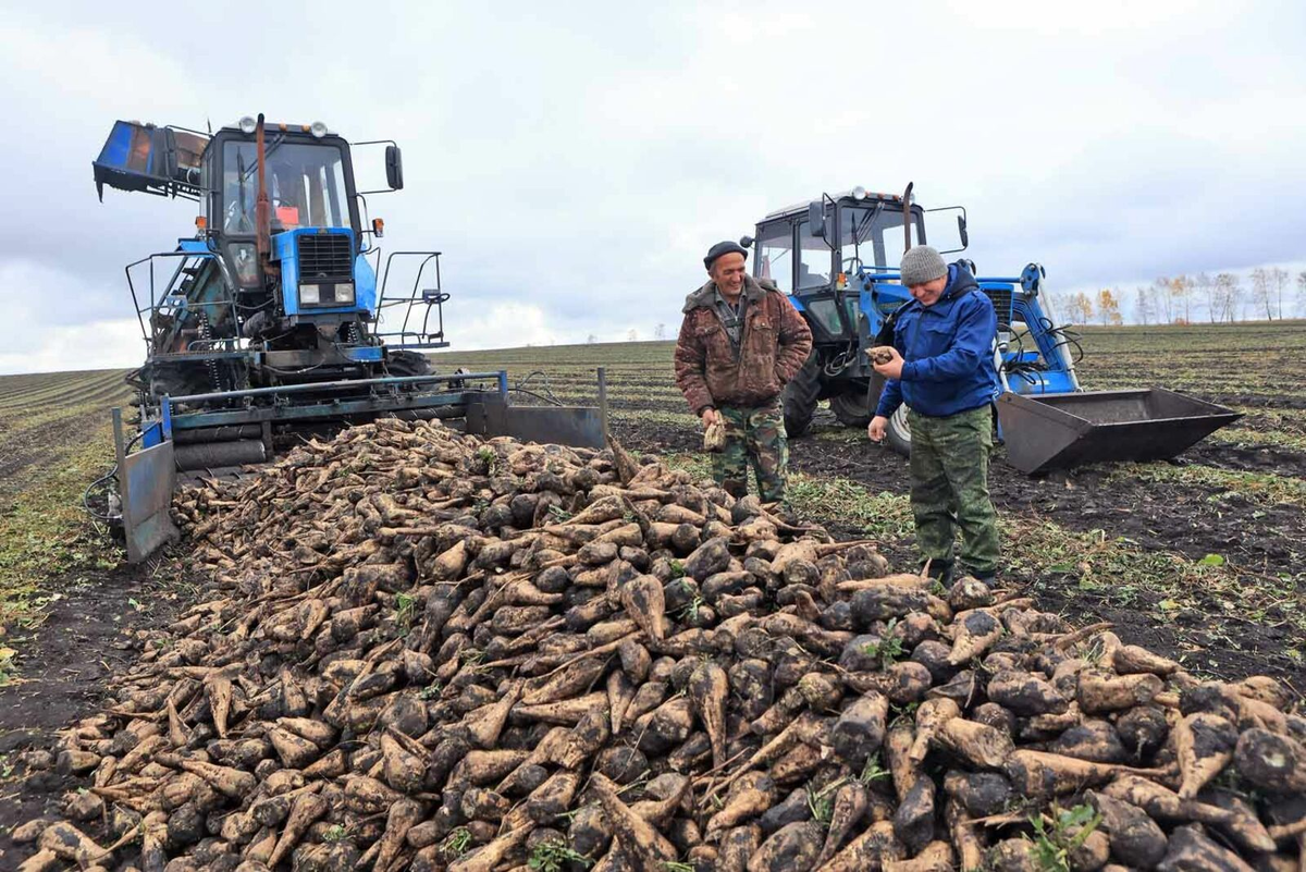Республика полностью обеспечивает себя целым рядом продуктов. Фото: Александр ДАНИЛОВ