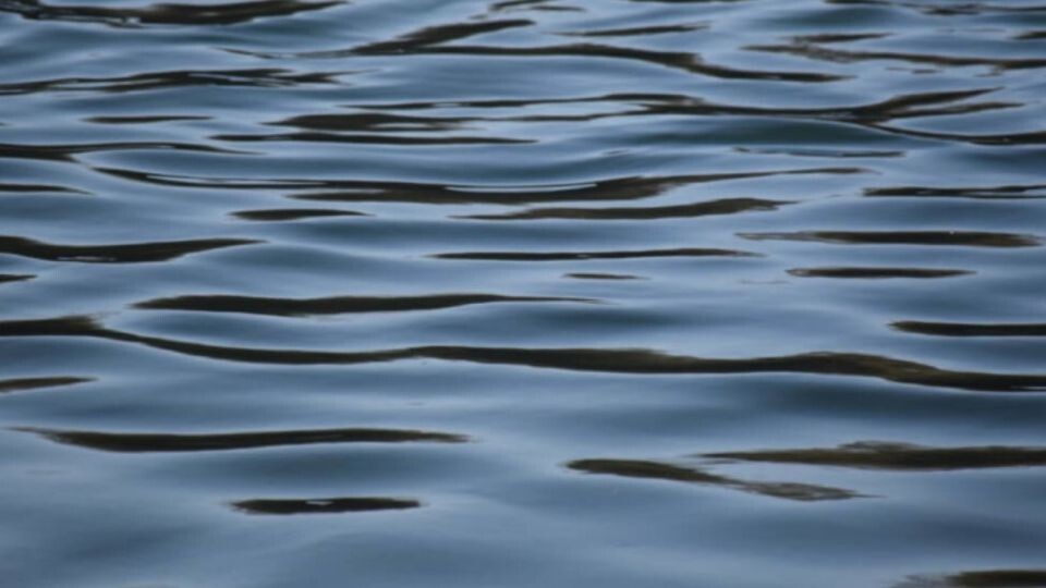    Водоем. Источник: pixabay