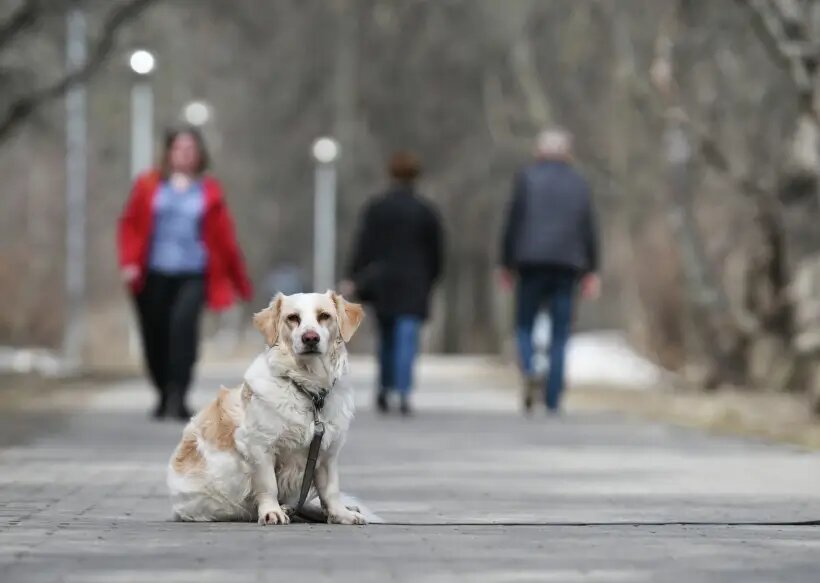     © РИА Новости. Максим Блинов