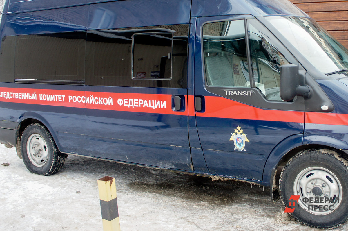 Следователи СК возбудили уголовное дело о хулиганстве.  Фото: Дмитрий Барков