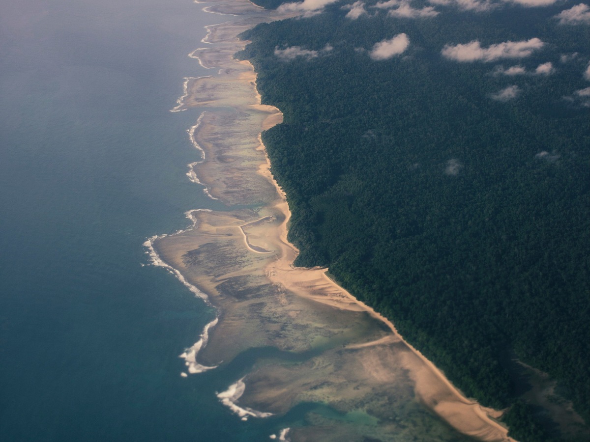 Фото: Vivek Doshi / Unsplash