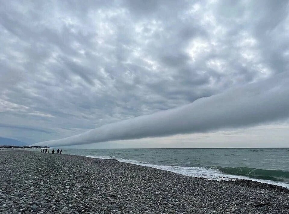    Фото: соцсети