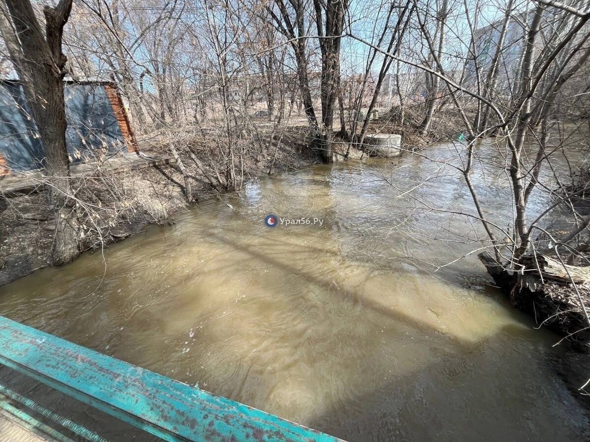    Больше всего за сутки выросли уровни Илека и Ириклы. Сильнее всего опустилась вода в Б.Кумаке и Ори