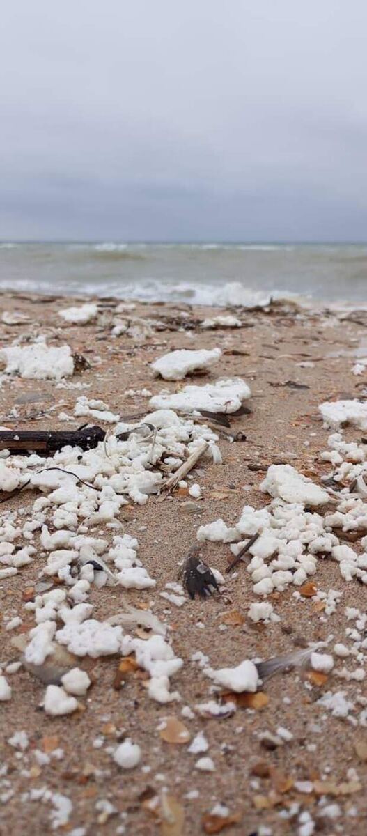 Белые выбросы на побережье Черного моря в Анапе