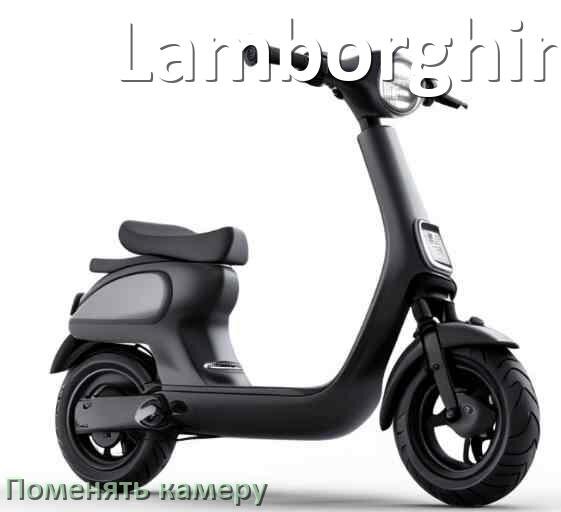 
Как на электросамокате Lamborghini поменять камеру заднего колеса