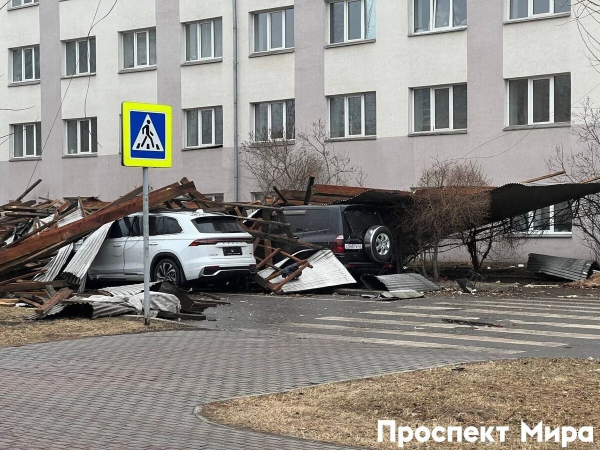     Источник: Александр Петровский