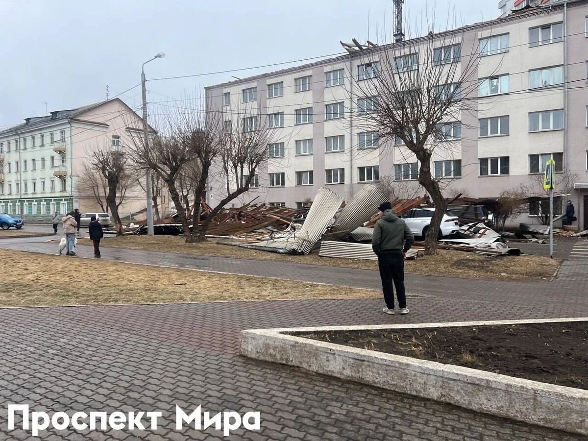     Источник: Александр Петровский