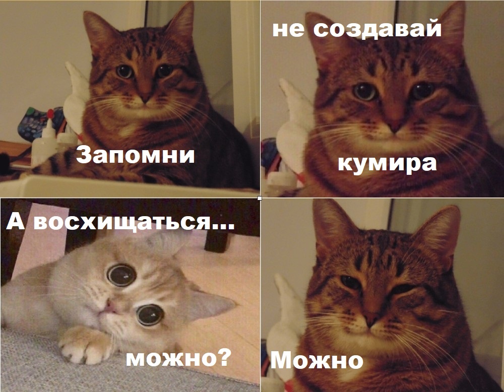 Ради мемаа готов пожертвовать отображением картинки статьи