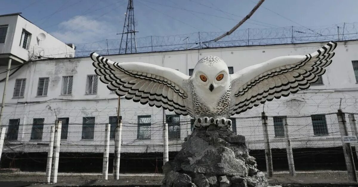 Фото из интернета в свободном доступе 