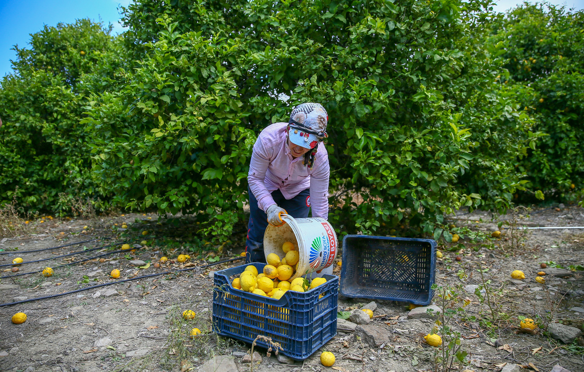 Halil Fidan/Anadolu Agency via Getty Images