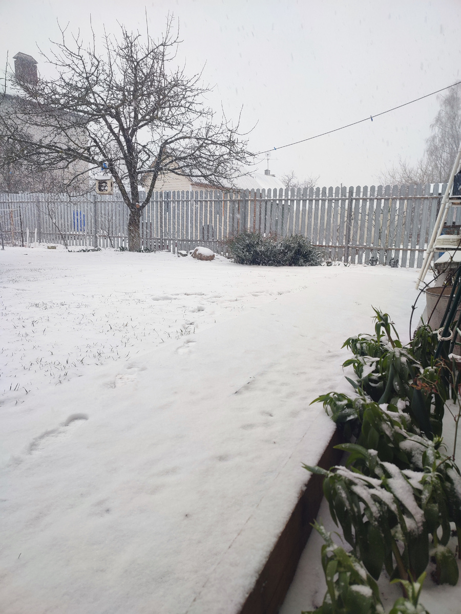 7 апреля 2025г. Тверская область.