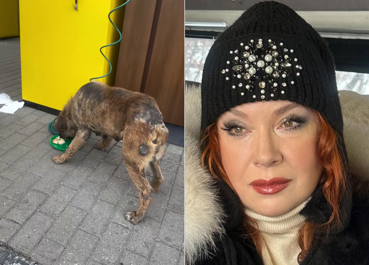 Фото: соцсети Веры Сотниковой