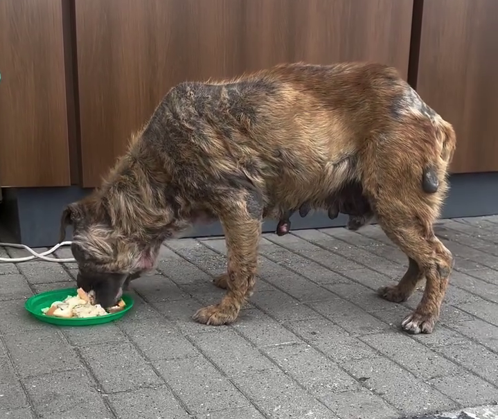 Фото: соцсети Веры Сотниковой