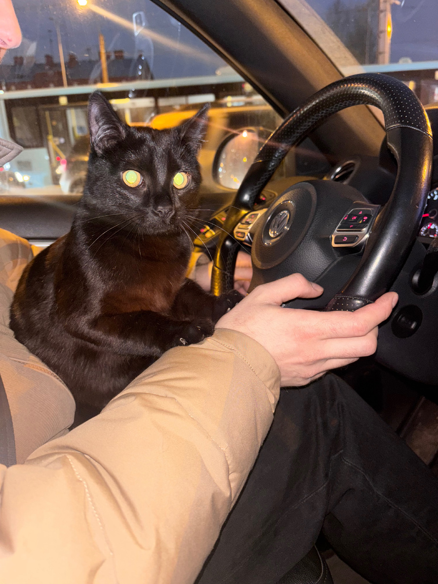 Юный водила 