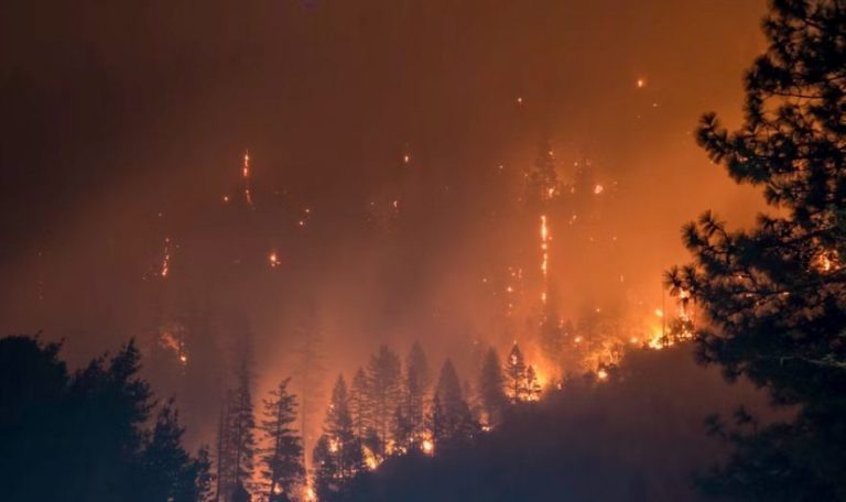    Фото: unsplash.com/ Matt Howard Ксения Евдокимова