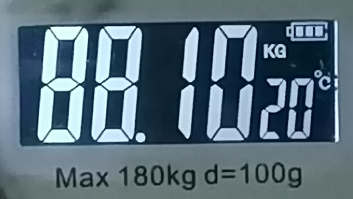 Вес на 07.04.2025