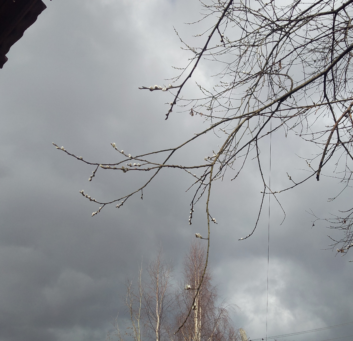 Вчера было...