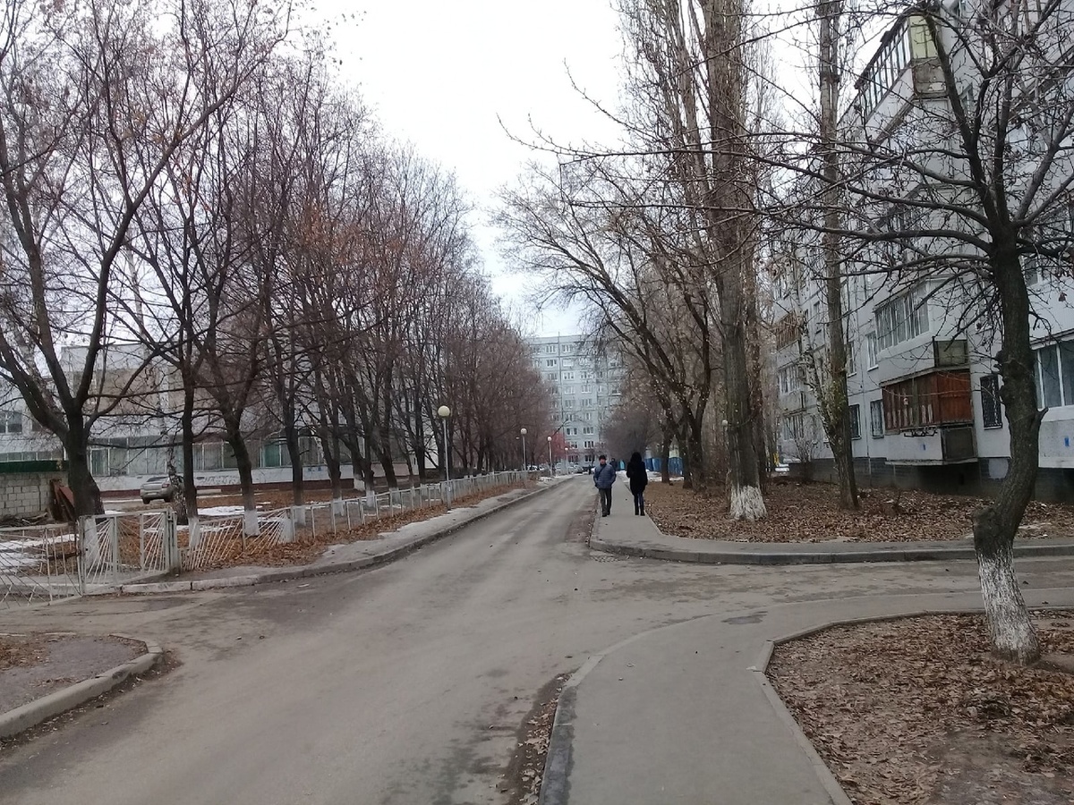    Фото: архив progorod