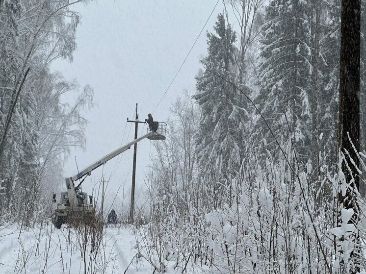     Фото: Владислав Шапша/ТГ
