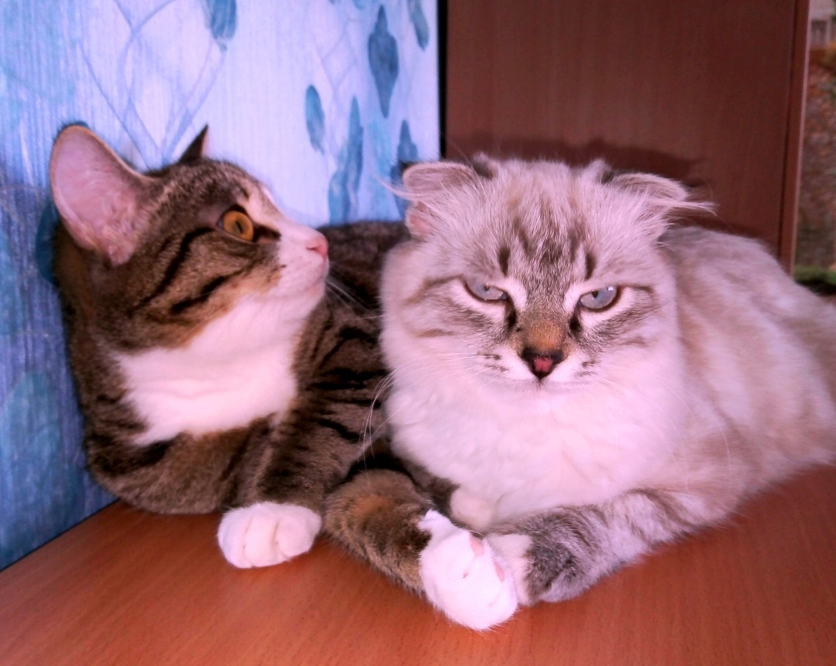 Фото из личного архива автора.