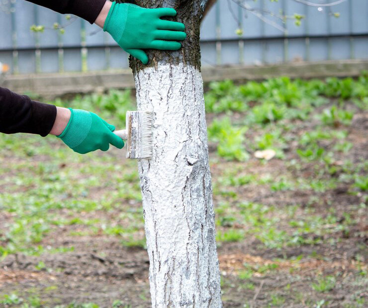 Фото: freepik.com.