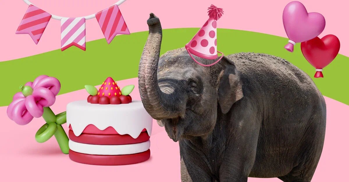 Синта живет в зоопарке Ростова-на-Дону с 2009 года